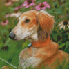 Saluki Sitting Diamond Painting