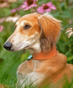 Saluki Sitting Diamond Painting