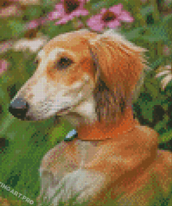 Saluki Sitting Diamond Painting