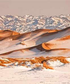 Snowy Desert Winter Diamond Painting