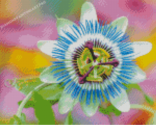 Soft Blue Passion Flower Diamond Painting