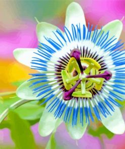 Soft Blue Passion Flower Diamond Painting