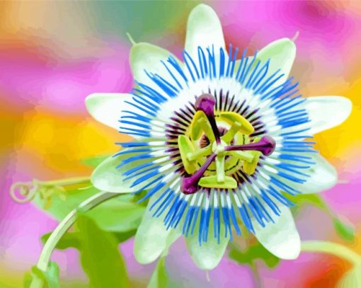 Soft Blue Passion Flower Diamond Painting