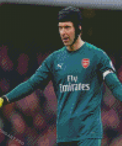 The Football Player Petr Cech Diamond Painting