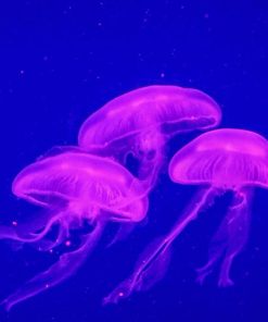 Three Blue And Purple Jellyfish Underwater Diamond Painting