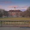 University Of Illinois Urbana Diamond Painting