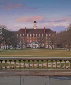 University Of Illinois Urbana Diamond Painting