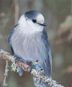 Whiskey Jack Bird On Stick Diamond Painting