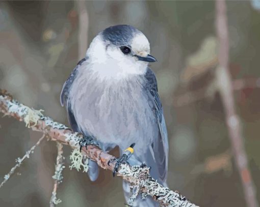 Whiskey Jack Bird On Stick Diamond Painting