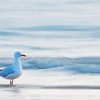 White Bird On Beach Diamond Painting