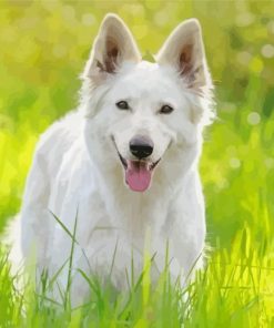 White German Shepherd Diamond Painting