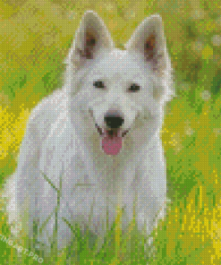 White German Shepherd Diamond Painting