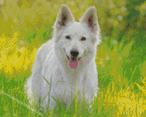 White German Shepherd Diamond Painting