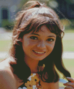 Young Karen Valentine Diamond Painting