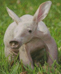 African Aardvark Diamond Painting