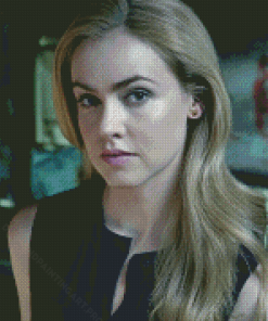 Amanda Schull 12 Monkeys Diamond Painting