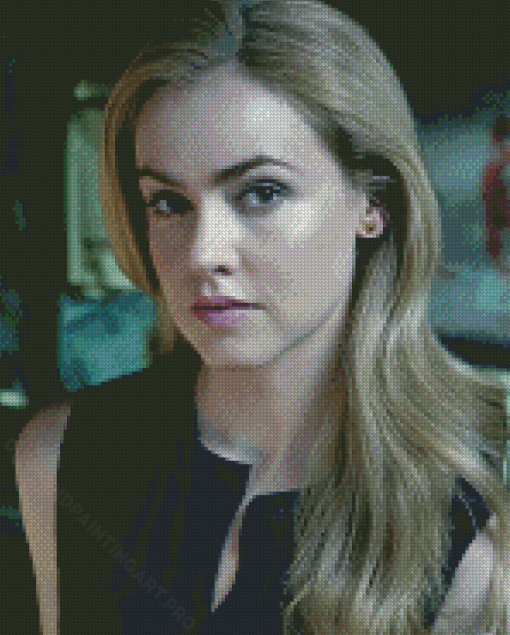 Amanda Schull 12 Monkeys Diamond Painting