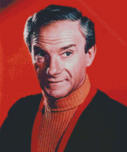 American Actor Jonathan Harris Diamond Painting