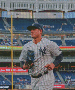 Anthony Rizzo At The Yankees Stadium Diamond Painting