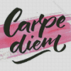 Black And Pink Carpe Diem Diamond Painting