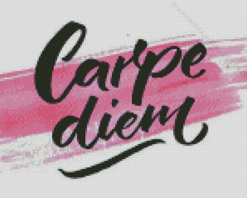 Black And Pink Carpe Diem Diamond Painting