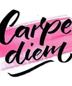 Black And Pink Carpe Diem Diamond Painting