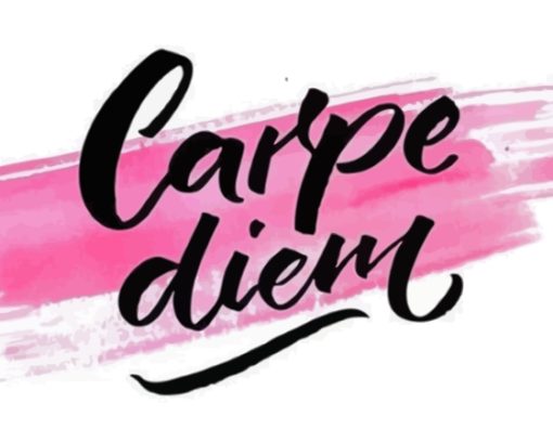 Black And Pink Carpe Diem Diamond Painting