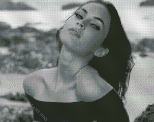 Black And White Megan Fox Diamond Painting