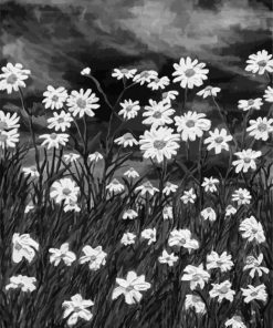 Black And White Daisy Field Diamond Painting