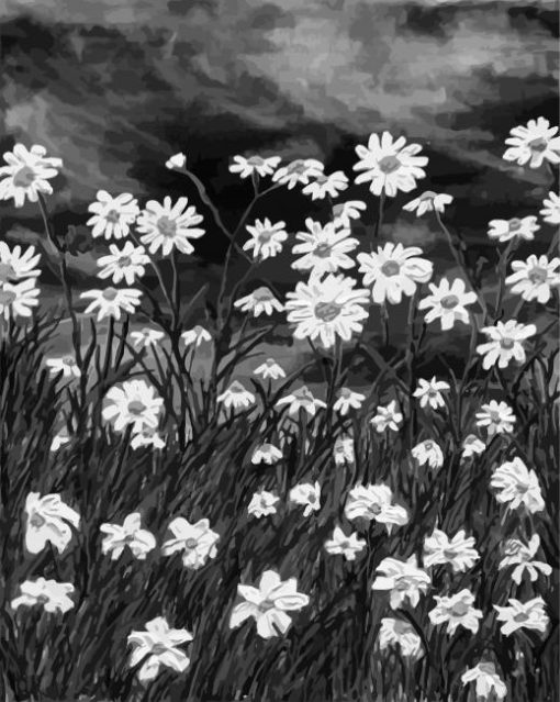 Black And White Daisy Field Diamond Painting