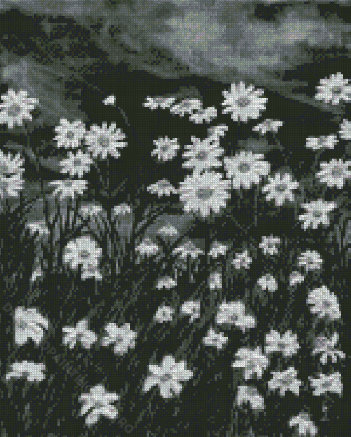 Black And White Daisy Field Diamond Painting