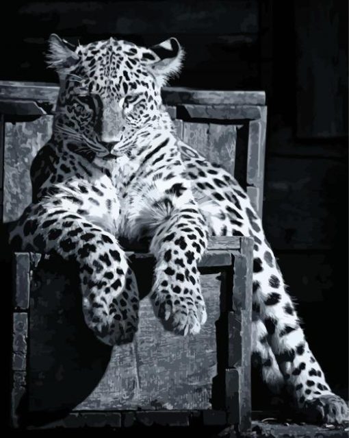 Black And White Panther On Chair Diamond Painting