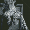 Black And White Panther On Chair Diamond Painting