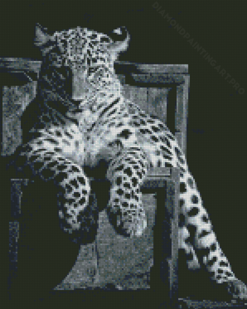 Black And White Panther On Chair Diamond Painting