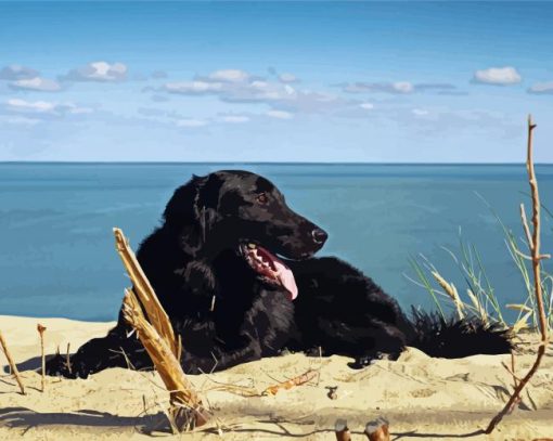 Black Flat Coated Retriever On The Beach Diamond Painting