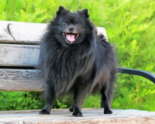 Black Pomeranian On A Bench Diamond Painting