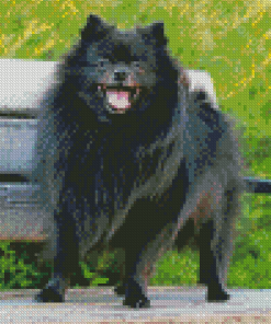 Black Pomeranian On A Bench Diamond Painting