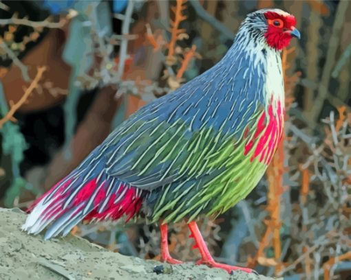 Blood Pheasant Diamond Painting