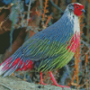 Blood Pheasant Diamond Painting