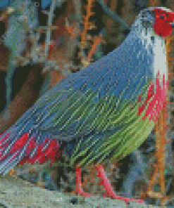 Blood Pheasant Diamond Painting