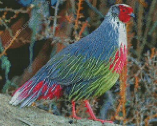 Blood Pheasant Diamond Painting