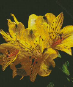 Blooming Yellow Alstroemerias Diamond Painting