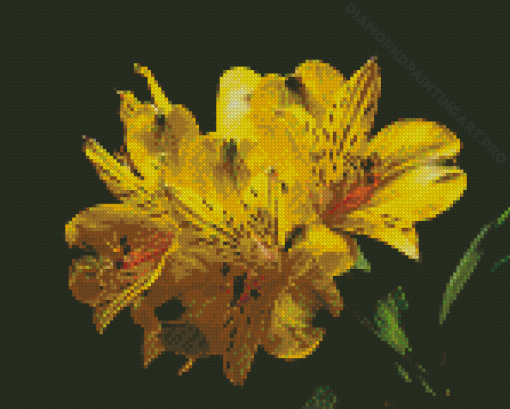 Blooming Yellow Alstroemerias Diamond Painting