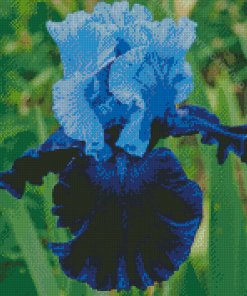 Blue Bearded Iris Diamond Painting