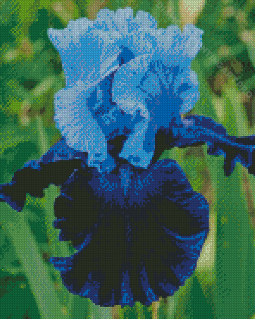 Blue Bearded Iris Diamond Painting