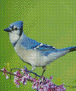 Blue Jay Bird Diamond Painting