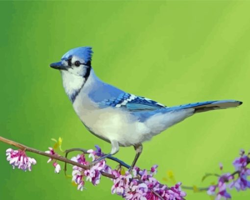 Blue Jay Bird Diamond Painting