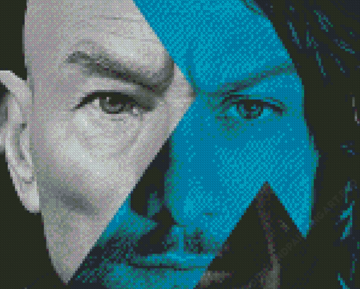 Young And Old Professor Xavier Diamond Painting