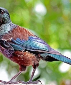 Brown And Blue Tui Bird Diamond Painting