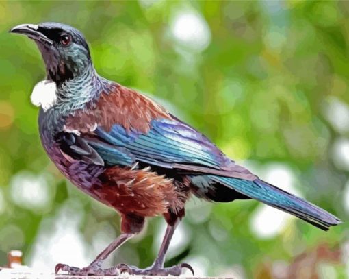 Brown And Blue Tui Bird Diamond Painting